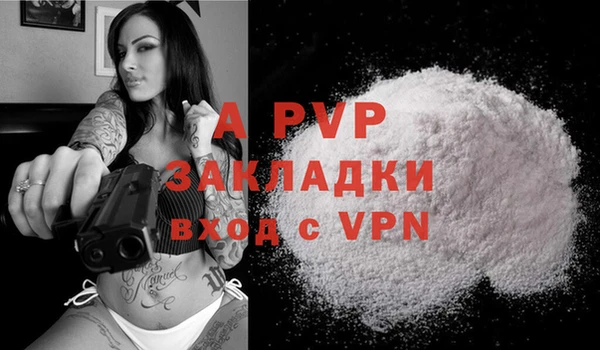 молекула духа Алексеевка